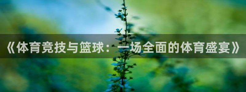 《体育竞技与篮球：一场全面的体育盛宴》