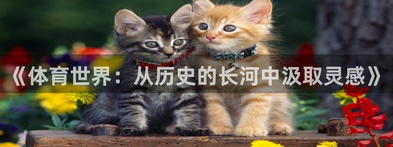 《体育世界：从历史的长河中汲取灵感》