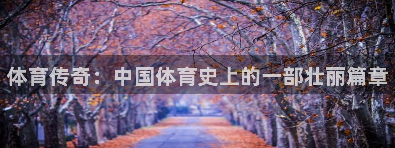 体育传奇：中国体育史上的一部壮丽篇章