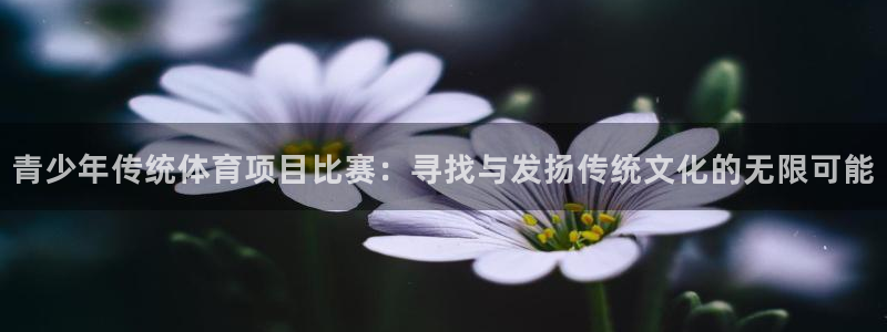 青少年传统体育项目比赛：寻找与发扬传统文化的无限可能