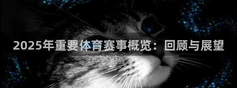2025年重要体育赛事概览：回顾与展望