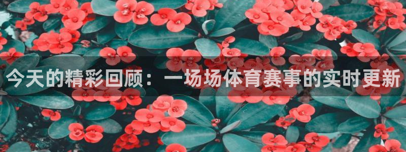 今天的精彩回顾：一场场体育赛事的实时更新