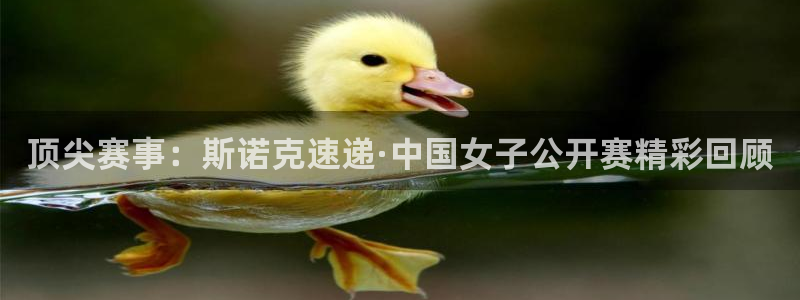 顶尖赛事：斯诺克速递·中国女子公开赛精彩回顾