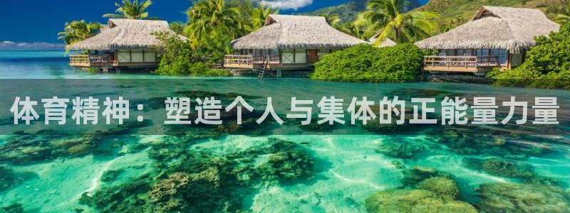 体育精神：塑造个人与集体的正能量力量