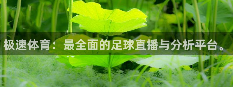 极速体育：最全面的足球直播与分析平台。