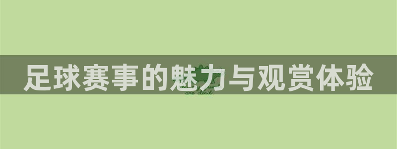 足球赛事的魅力与观赏体验
