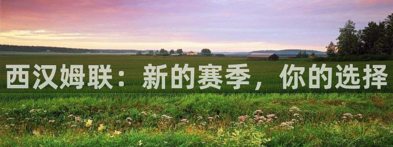 西汉姆联：新的赛季，你的选择