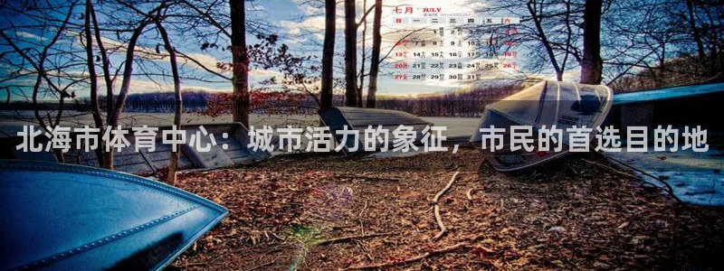 北海市体育中心：城市活力的象征，市民的首选目的地