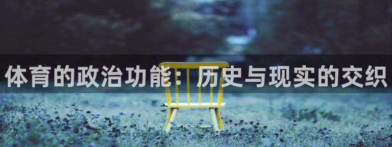 体育的政治功能：历史与现实的交织