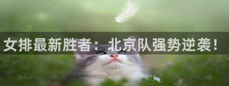 女排最新胜者：北京队强势逆袭！