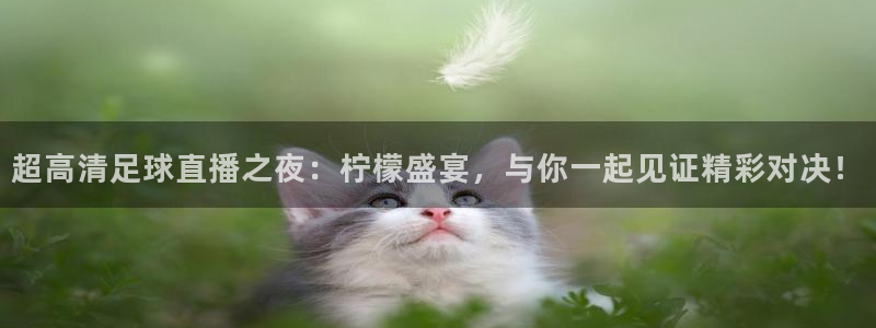 超高清足球直播之夜：柠檬盛宴，与你一起见证精彩对决！