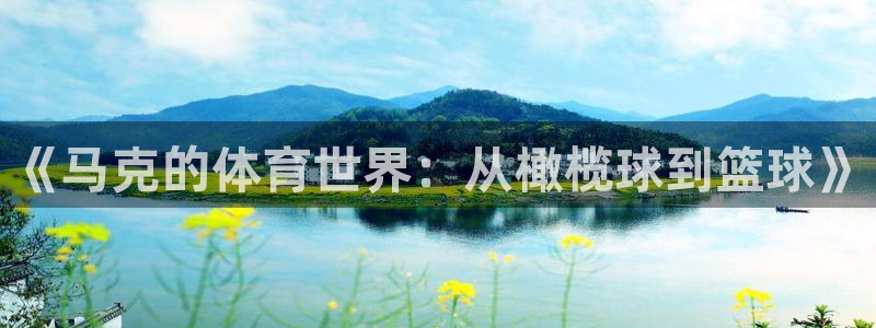 《马克的体育世界：从橄榄球到篮球》