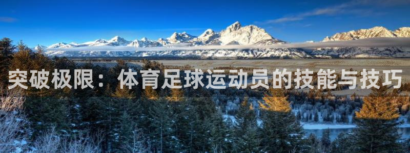 突破极限：体育足球运动员的技能与技巧