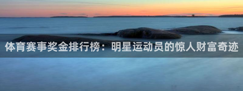 体育赛事奖金排行榜：明星运动员的惊人财富奇迹