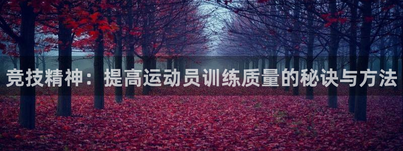 竞技精神：提高运动员训练质量的秘诀与方法