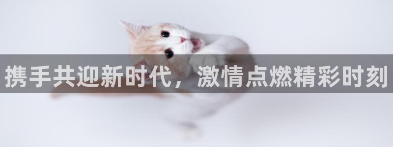携手共迎新时代，激情点燃精彩时刻