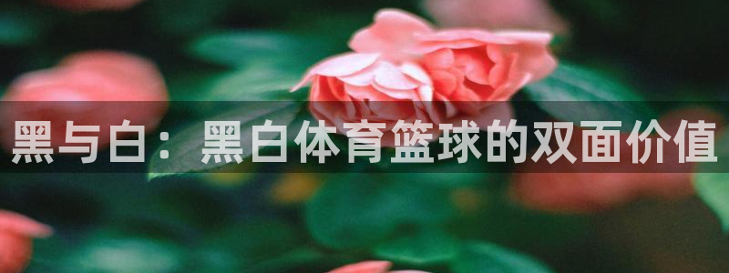 黑与白：黑白体育篮球的双面价值