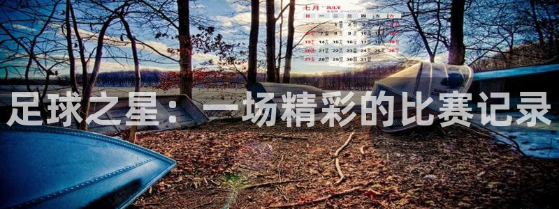 足球之星：一场精彩的比赛记录