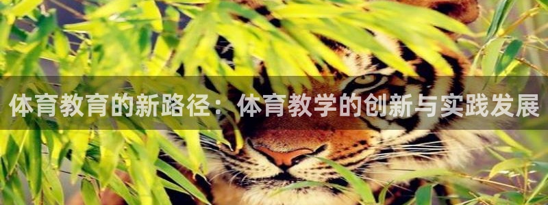 体育教育的新路径：体育教学的创新与实践发展