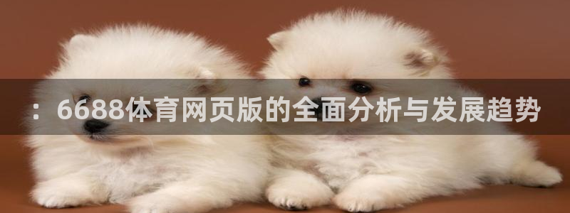 ：6688体育网页版的全面分析与发展趋势