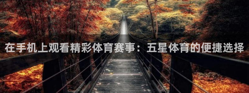 在手机上观看精彩体育赛事：五星体育的便捷选择