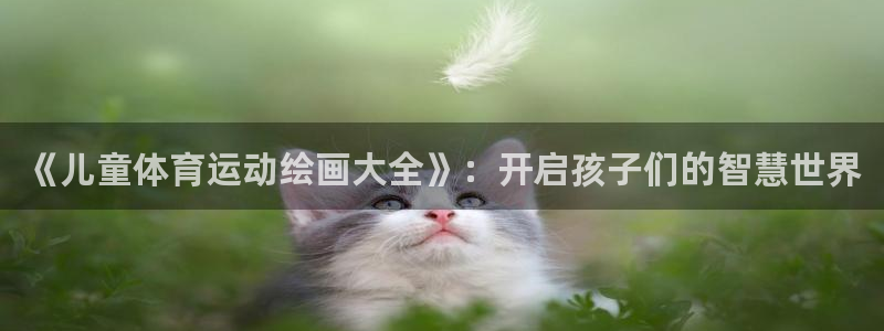 《儿童体育运动绘画大全》：开启孩子们的智慧世界