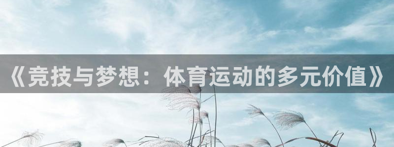 《竞技与梦想：体育运动的多元价值》