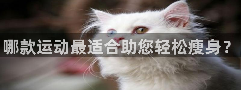 哪款运动最适合助您轻松瘦身？