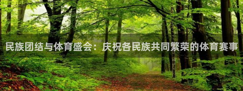 民族团结与体育盛会：庆祝各民族共同繁荣的体育赛事