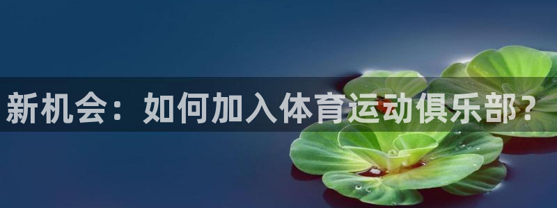 新机会：如何加入体育运动俱乐部？