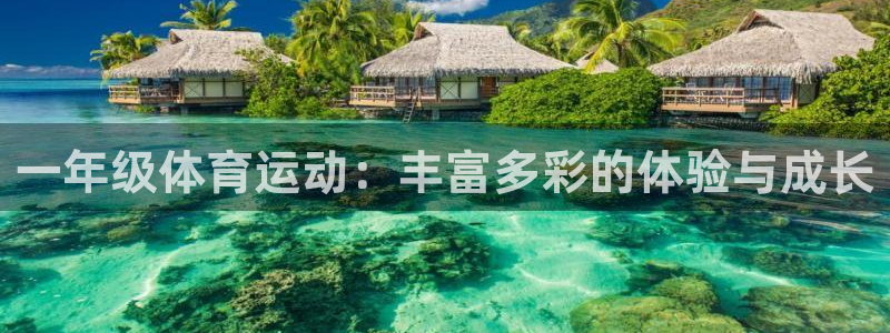一年级体育运动：丰富多彩的体验与成长