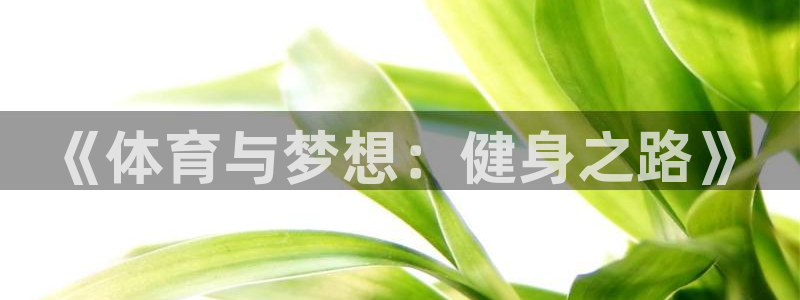 《体育与梦想：健身之路》