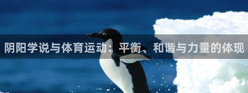 阴阳学说与体育运动：平衡、和谐与力量的体现