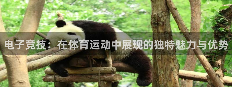 电子竞技：在体育运动中展现的独特魅力与优势
