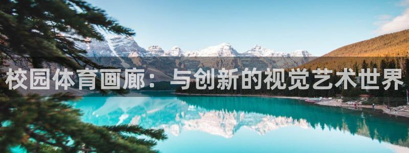 校园体育画廊：与创新的视觉艺术世界