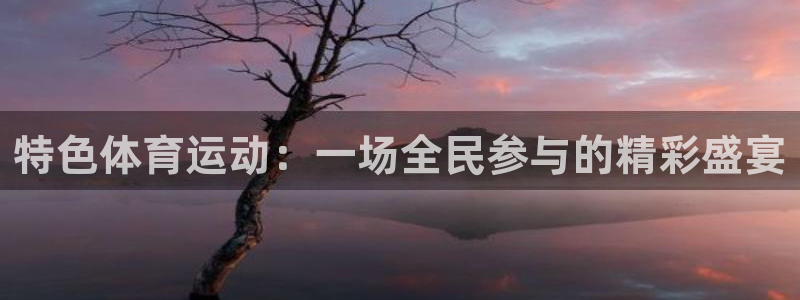 特色体育运动：一场全民参与的精彩盛宴