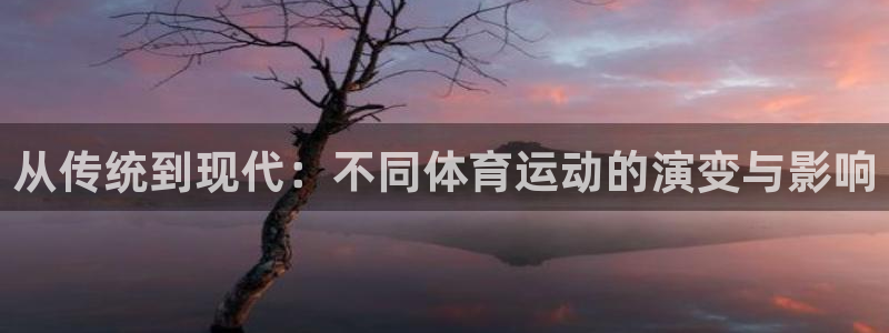 从传统到现代：不同体育运动的演变与影响