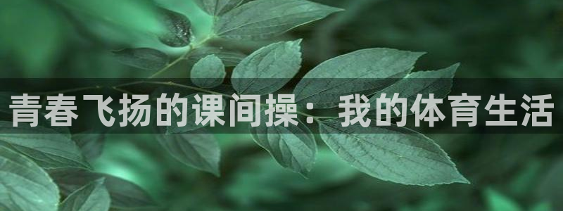 青春飞扬的课间操：我的体育生活