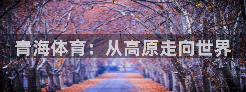 青海体育：从高原走向世界