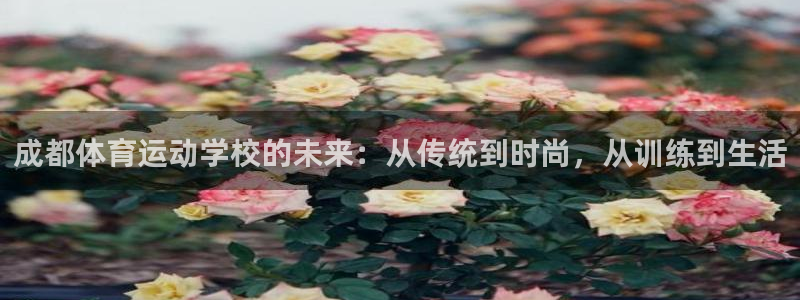 成都体育运动学校的未来：从传统到时尚，从训练到生活
