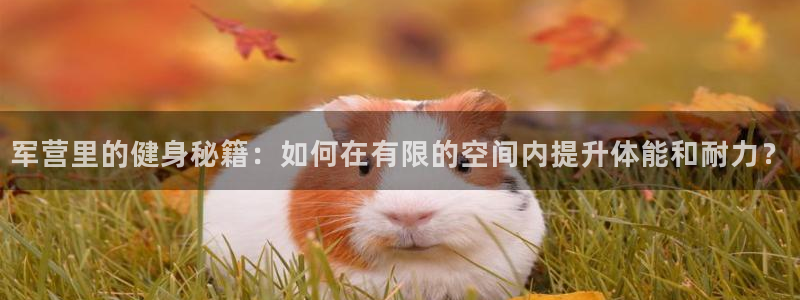 军营里的健身秘籍：如何在有限的空间内提升体能和耐力？