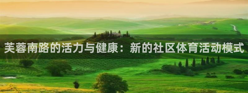 芙蓉南路的活力与健康：新的社区体育活动模式