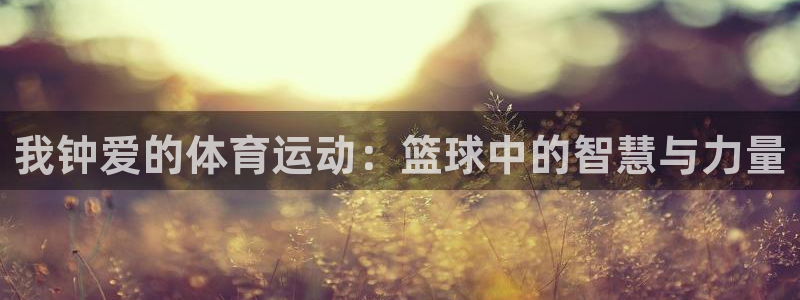 我钟爱的体育运动：篮球中的智慧与力量
