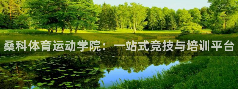 桑科体育运动学院：一站式竞技与培训平台