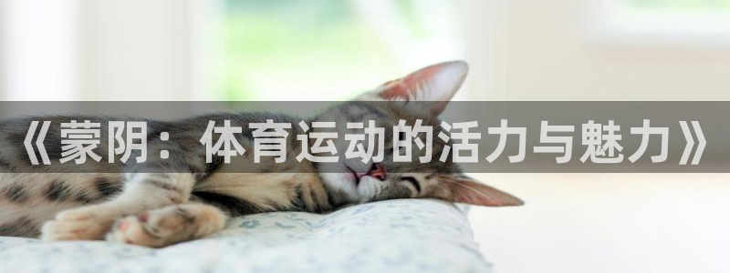 《蒙阴：体育运动的活力与魅力》