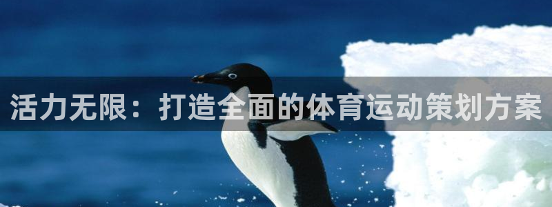 活力无限：打造全面的体育运动策划方案