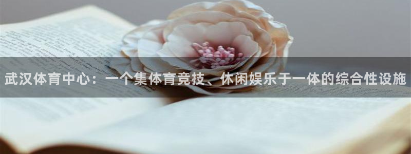 武汉体育中心：一个集体育竞技、休闲娱乐于一体的综合性设施