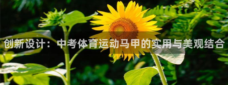创新设计：中考体育运动马甲的实用与美观结合